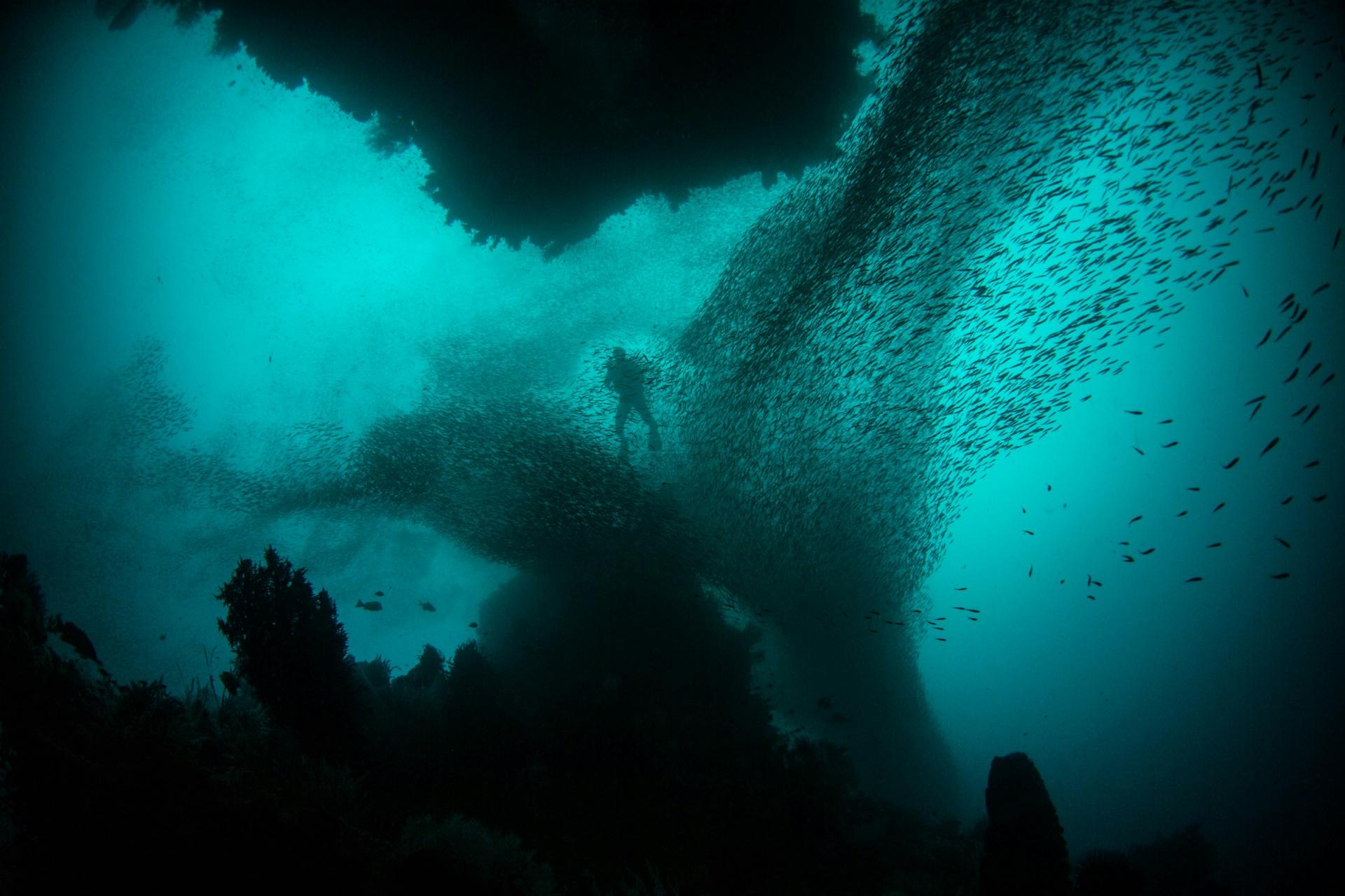 foto subacqua con un fondale e un sub in lontananza